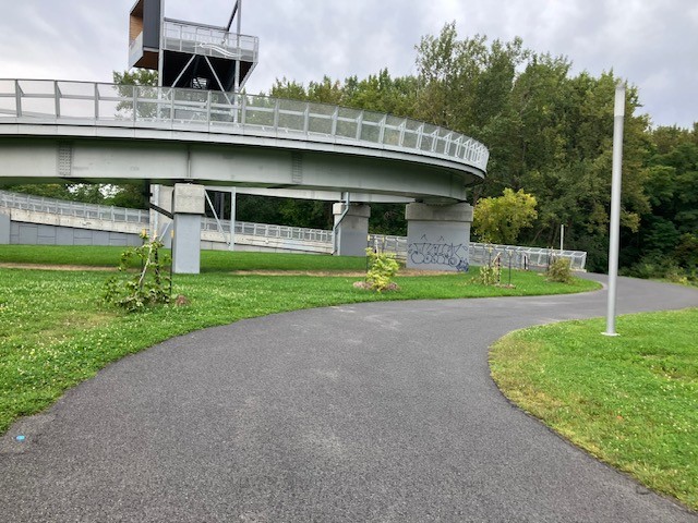 Longueuil : une dizaine de jeunes arbres vandalisés