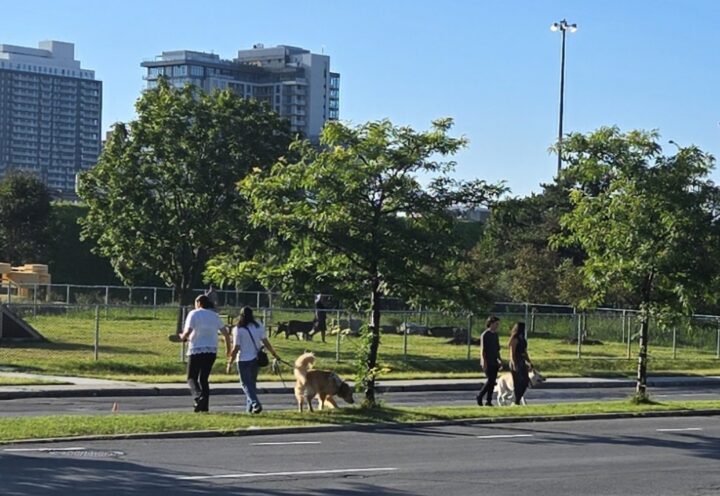 Parc canin Georges-Dor : un voisin dénonce l’incivilité de certains utilisateurs
