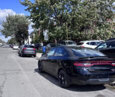 Véhicules sans plaque stationnés dans la rue : un flou persiste