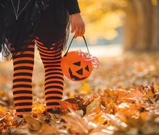 Halloween près de chez vous