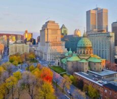 Souris dans la maison : pourquoi tout se joue en octobre au Québec