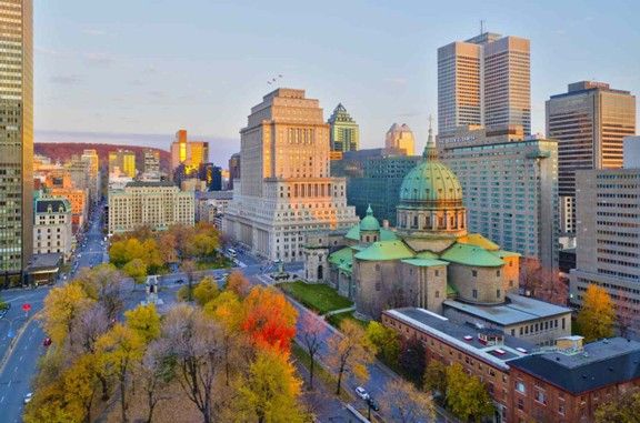 Souris dans la maison : pourquoi tout se joue en octobre au Québec